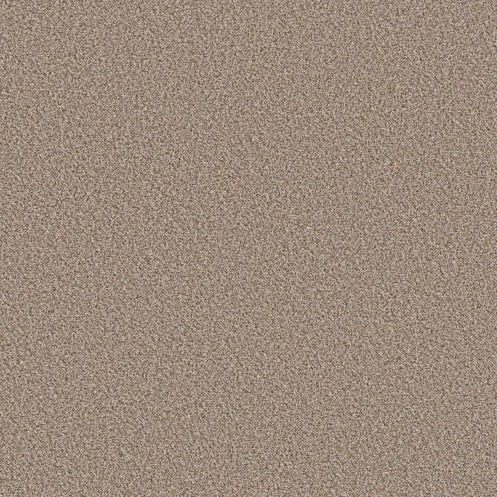 Shaw Floors Best Yet — Chateau · 5E745-00705 — flooring selection with LeviArs Design & Remodeling