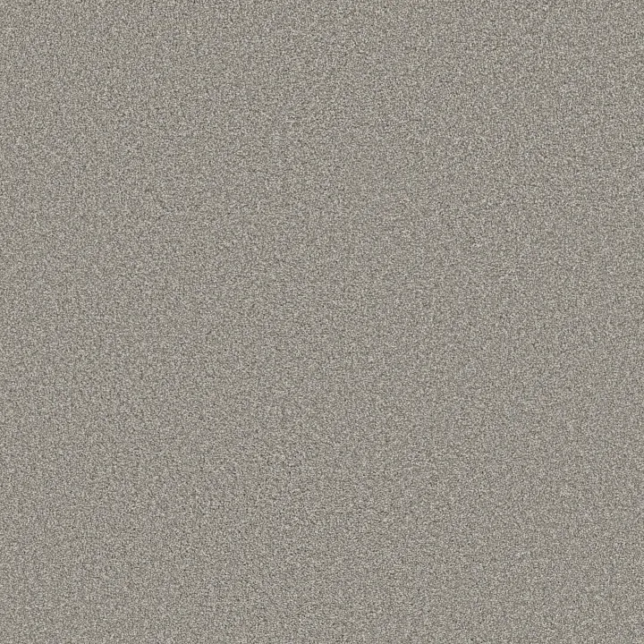 Shaw Floors Trusolutions I — Concrete · 5E647-00504 — flooring selection with LeviArs Design & Remodeling