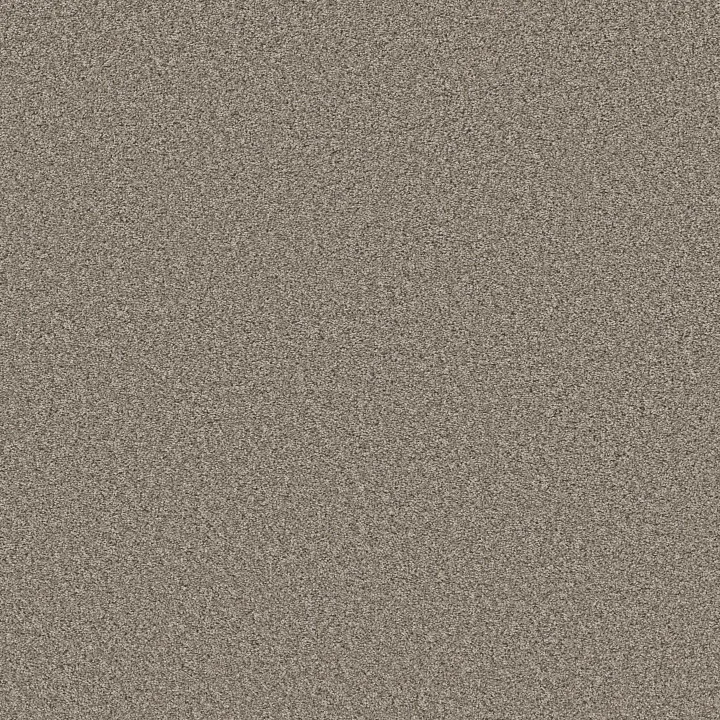Shaw Floors Best Yet — Cottage · 5E745-00113 — flooring selection with LeviArs Design & Remodeling