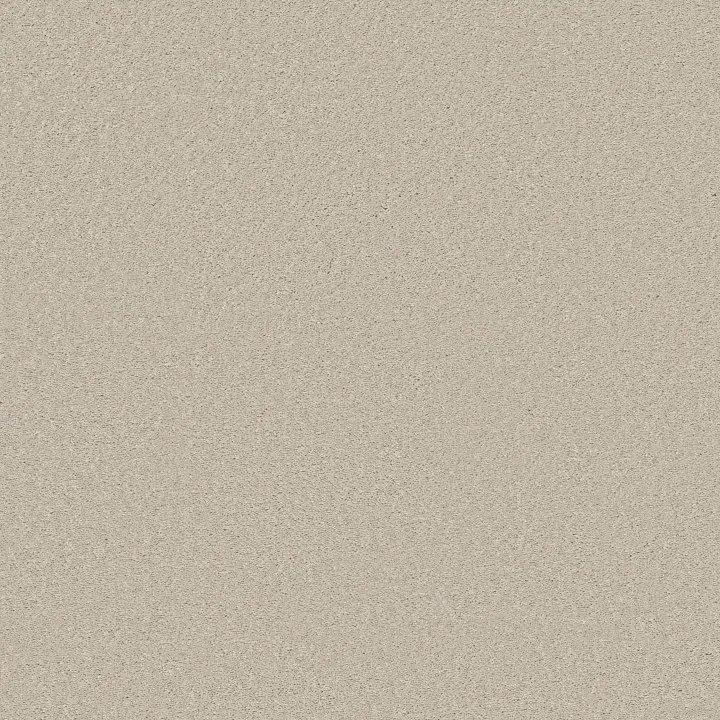 Shaw Floors Well Made — Creamy · 5E667-00101 — flooring selection with LeviArs Design & Remodeling