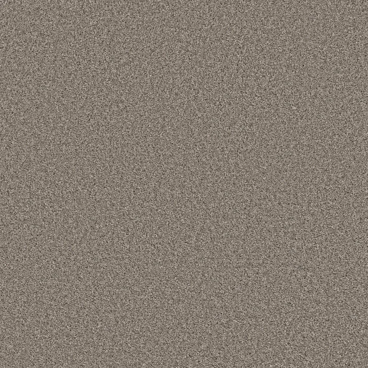 Shaw Floors Best Yet — Graphite · 5E745-00510 — flooring selection with LeviArs Design & Remodeling