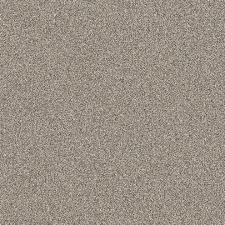 Shaw Floors Best Yet — Lady Liberty · 5E745-00502 — flooring selection with LeviArs Design & Remodeling