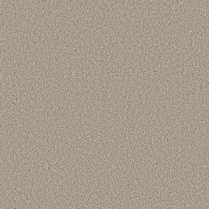 Shaw Floors Best Yet — Mist · 5E745-00103 — flooring selection with LeviArs Design & Remodeling