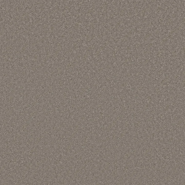 Shaw Floors Best Yet — Mocha Frost · 5E745-00732 — flooring selection with LeviArs Design & Remodeling