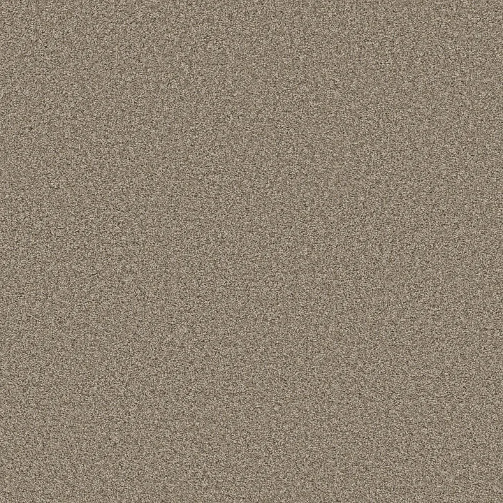 Shaw Floors Best Yet — Parchment · 5E745-00114 — flooring selection with LeviArs Design & Remodeling