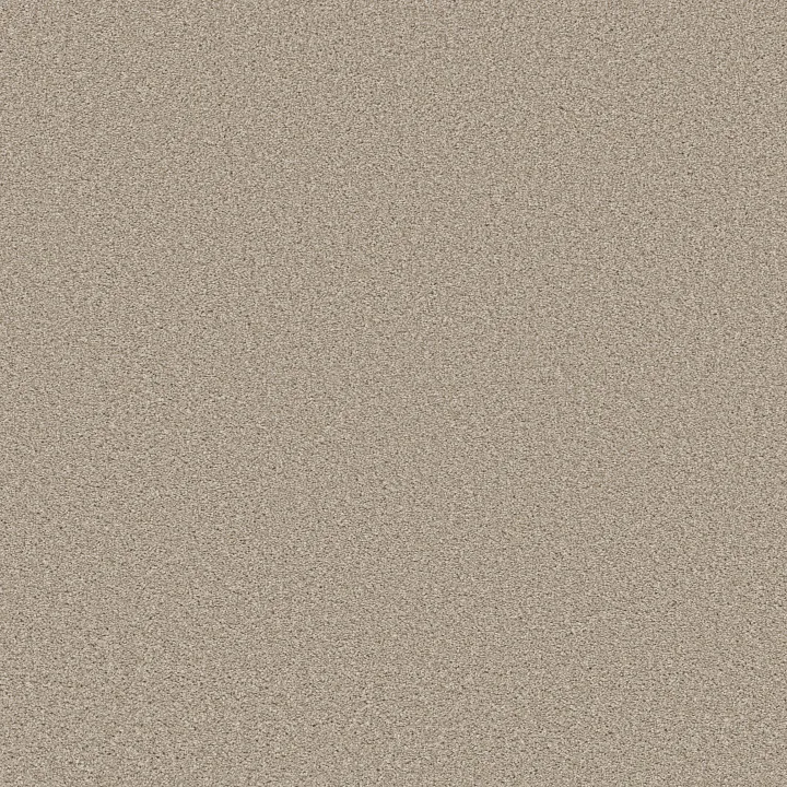 Shaw Floors Trusolutions I — Sand · 5E647-00109 — flooring selection with LeviArs Design & Remodeling