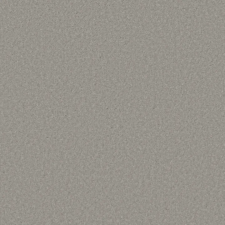 Shaw Floors Well Made — Sheer Silver · 5E667-00500 — flooring selection with LeviArs Design & Remodeling