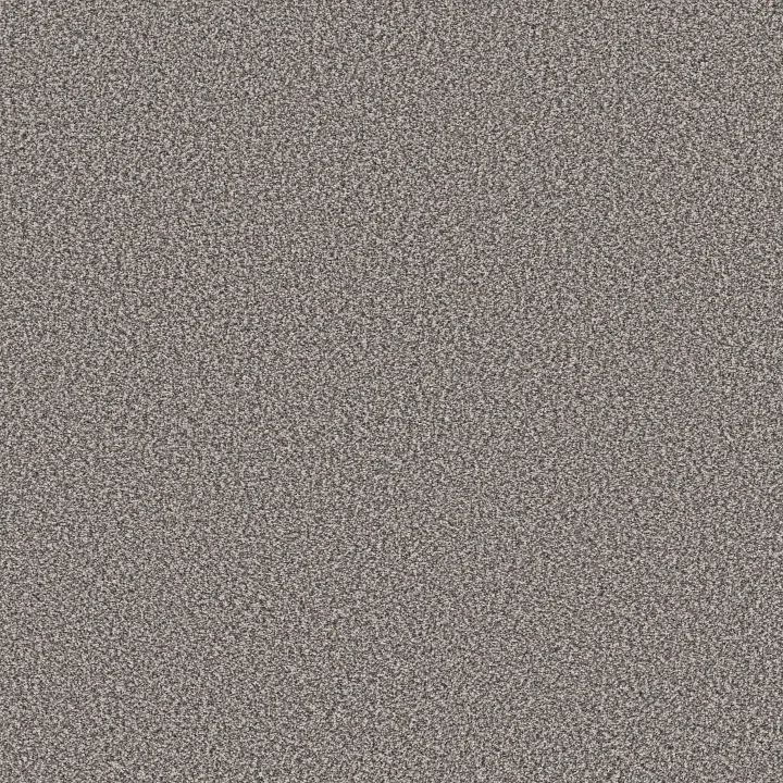 Shaw Floors Best Yet — Stainless · 5E745-00508 — flooring selection with LeviArs Design & Remodeling