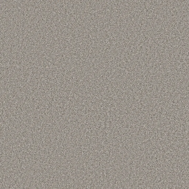 Shaw Floors Best Yet — Sterling · 5E745-00511 — flooring selection with LeviArs Design & Remodeling
