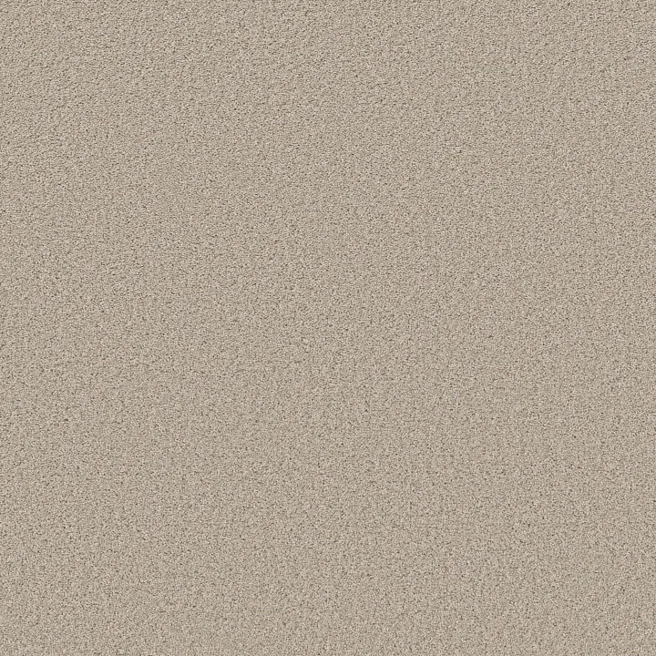 Shaw Floors Trusolutions I — Sugar Cookie · 5E647-00107 — flooring selection with LeviArs Design & Remodeling