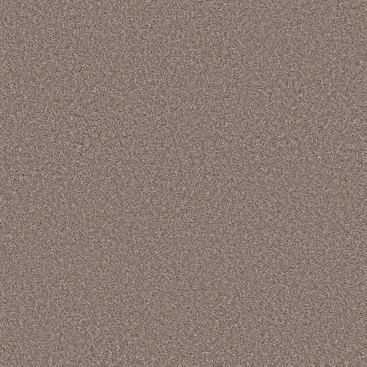 Shaw Floors Trusolutions I — Taupe Dream · 5E647-00705 — flooring selection with LeviArs Design & Remodeling