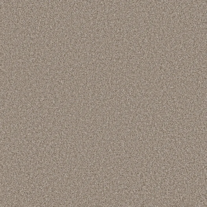 Shaw Floors Best Yet — Timeless Tan · 5E745-00704 — flooring selection with LeviArs Design & Remodeling