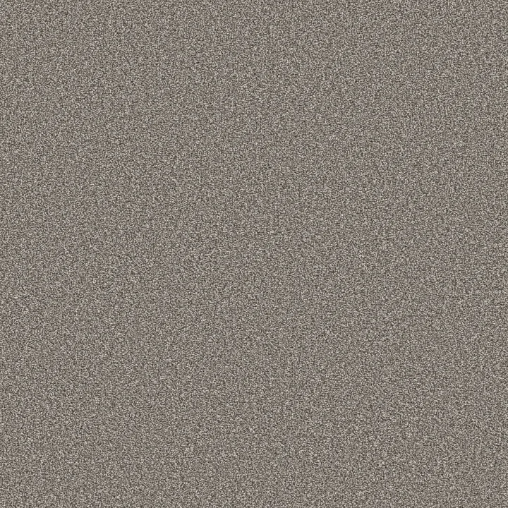 Shaw Floors Trusolutions I — Tree Bark · 5E647-00507 — flooring selection with LeviArs Design & Remodeling