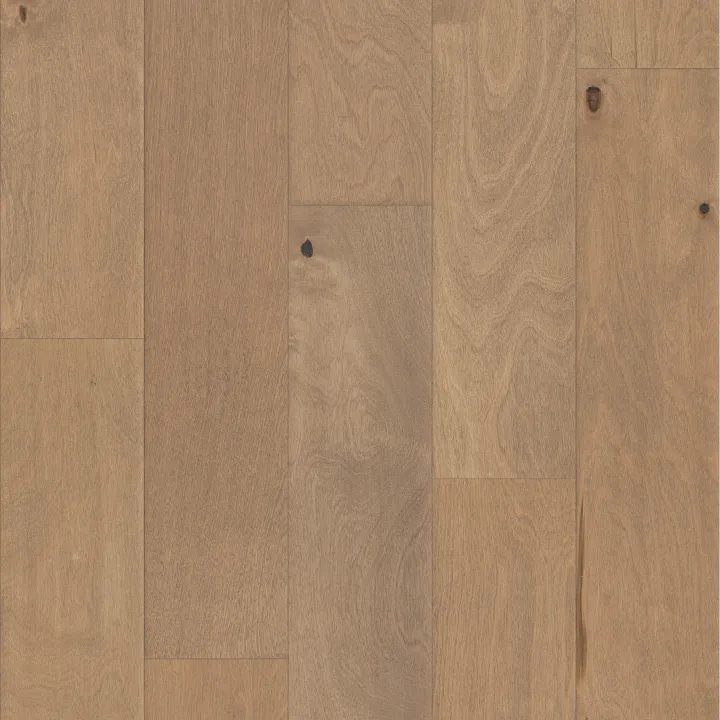 Shaw Floors Biscayne Bay — Seagrass · SW520-11071 — flooring selection with LeviArs Design & Remodeling