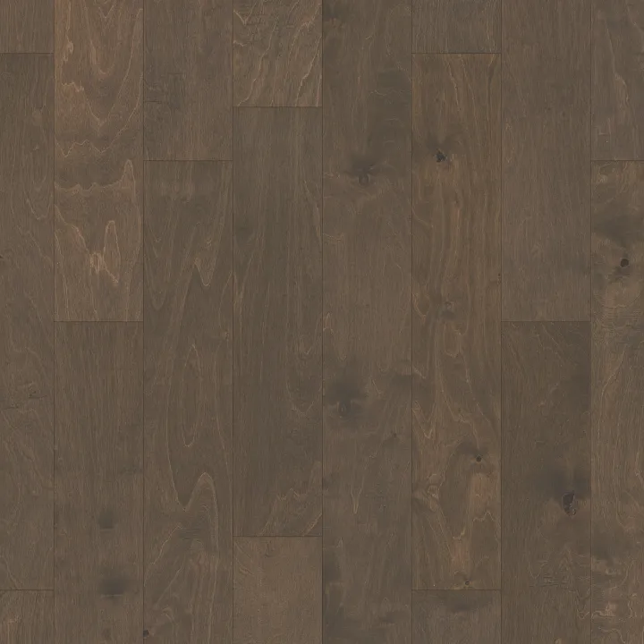 Shaw Floors Biscayne Bay — Windsurf · SW520-05034 — flooring selection with LeviArs Design & Remodeling