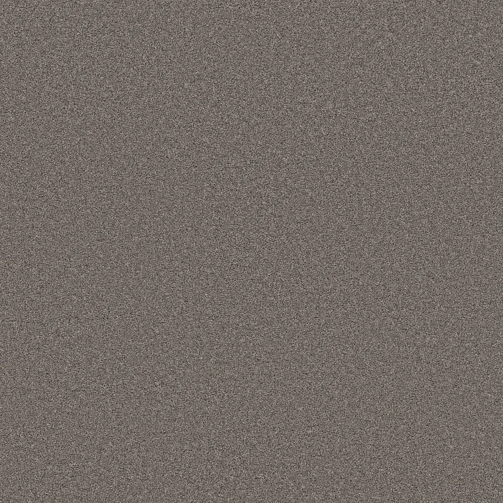 Shaw Floors Blended Touch I — Baltic Brown · 5E885-00733 — flooring selection with LeviArs Design & Remodeling