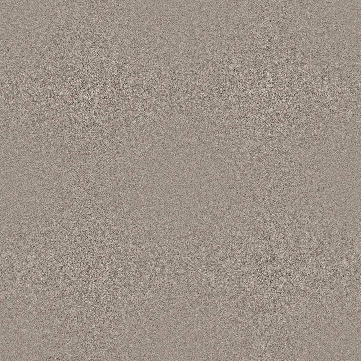 Shaw Floors Blended Touch I — Fusion · 5E885-00135 — flooring selection with LeviArs Design & Remodeling