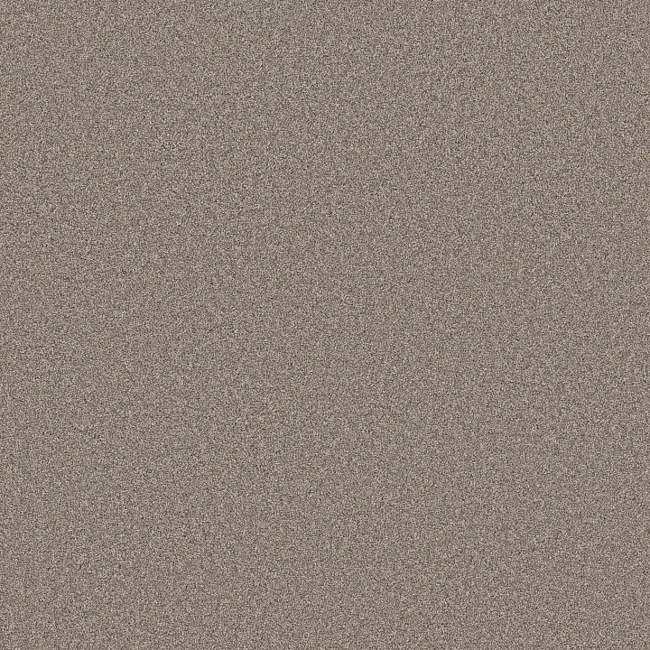 Shaw Floors Blended Touch I — Houndstooth · 5E885-00731 — flooring selection with LeviArs Design & Remodeling