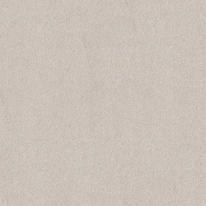 Shaw Floors Blended Touch I — Kashmir White · 5E885-00130 — flooring selection with LeviArs Design & Remodeling