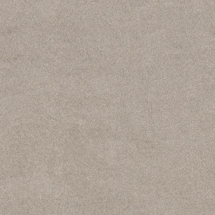 Shaw Floors Blended Touch I — Luna Pearl · 5E885-00137 — flooring selection with LeviArs Design & Remodeling