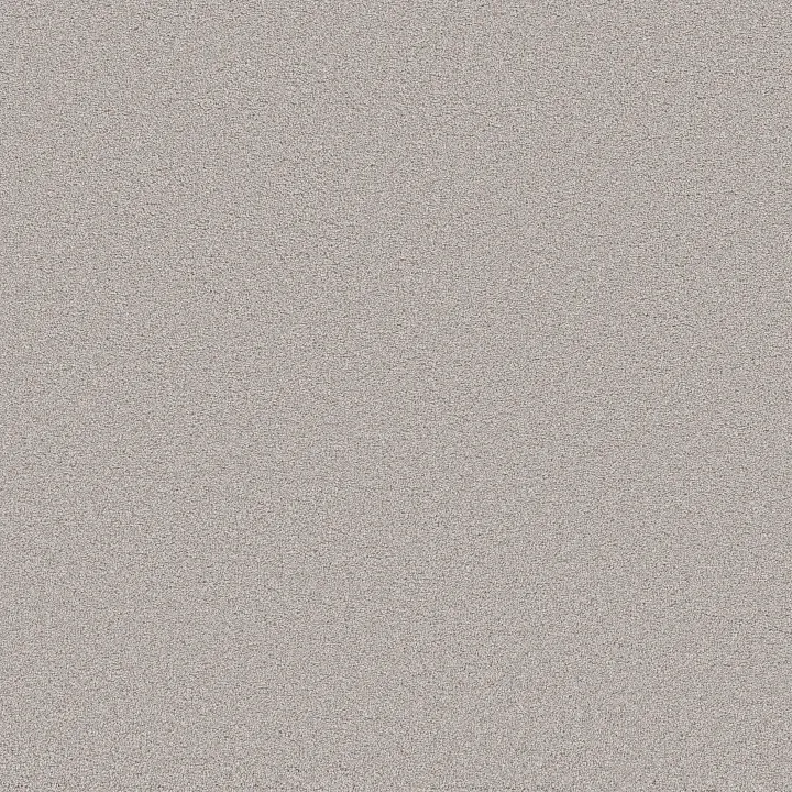 Shaw Floors Blended Touch I — Marble · 5E885-00530 — flooring selection with LeviArs Design & Remodeling