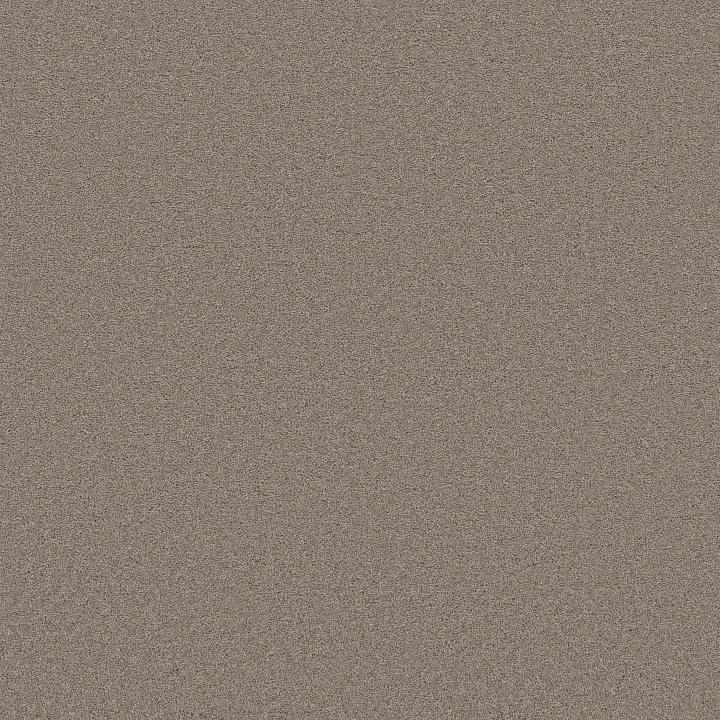Shaw Floors Blended Touch I — Mocha · 5E885-00735 — flooring selection with LeviArs Design & Remodeling