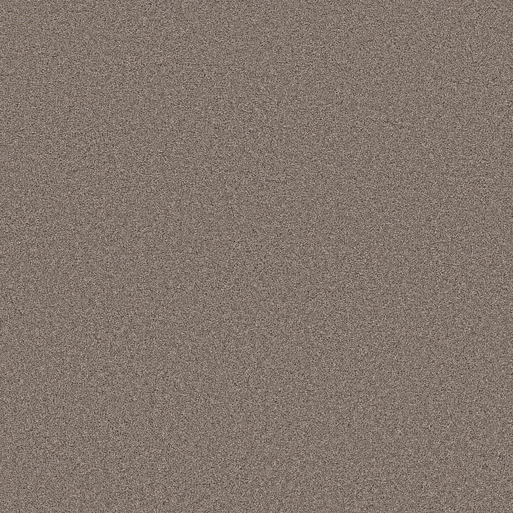 Shaw Floors Blended Touch I — Newstar · 5E885-00230 — flooring selection with LeviArs Design & Remodeling