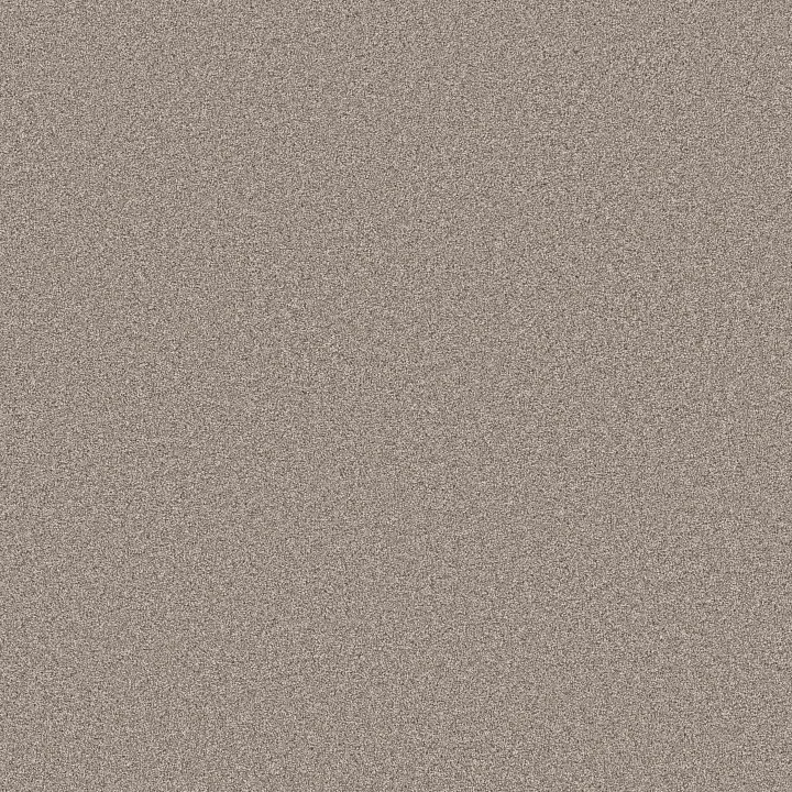Shaw Floors Blended Touch I — Pebble Stone · 5E885-00730 — flooring selection with LeviArs Design & Remodeling