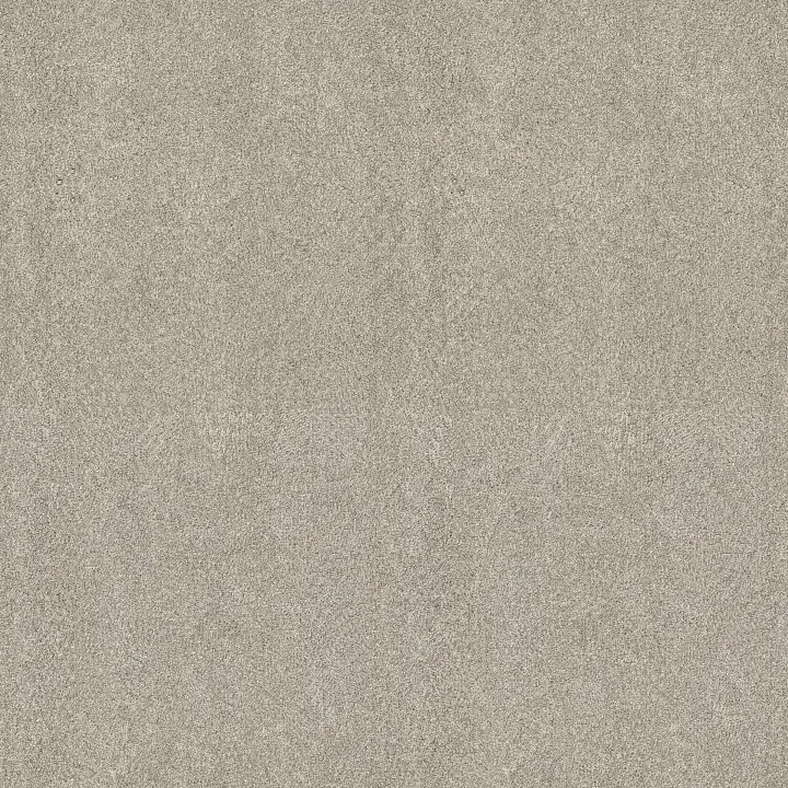 Shaw Floors Blended Touch I — Raw Silk · 5E885-00134 — flooring selection with LeviArs Design & Remodeling