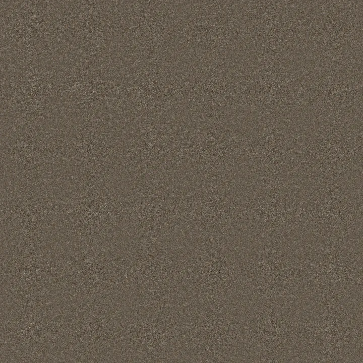 Shaw Floors Blended Touch I — Tweed · 5E885-00734 — flooring selection with LeviArs Design & Remodeling