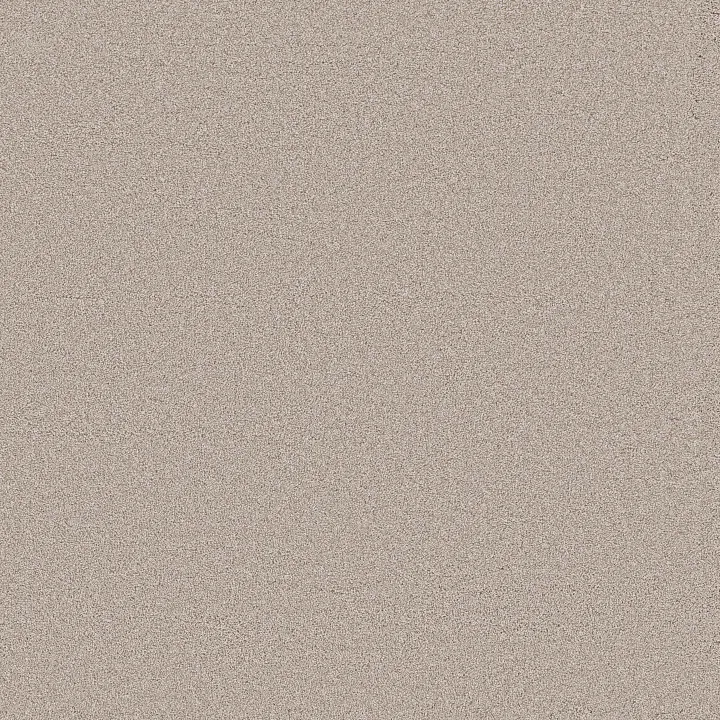 Shaw Floors Blended Touch I — Venetian Plaster · 5E885-00132 — flooring selection with LeviArs Design & Remodeling