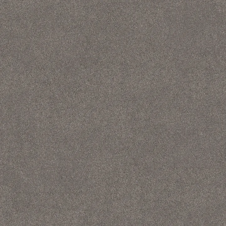 Shaw Floors Blended Touch I — Wild Rocks · 5E885-00732 — flooring selection with LeviArs Design & Remodeling