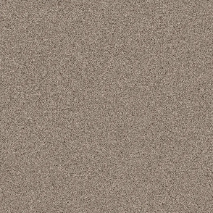 Shaw Floors Blended Touch I — Wool Blend · 5E885-00133 — flooring selection with LeviArs Design & Remodeling