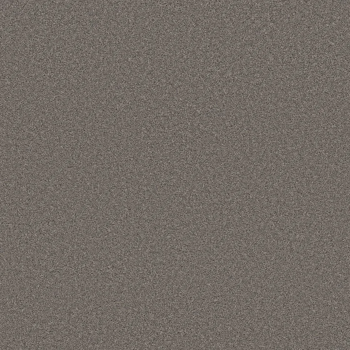Shaw Floors Blended Touch II — Baltic Brown · 5E886-00733 — flooring selection with LeviArs Design & Remodeling