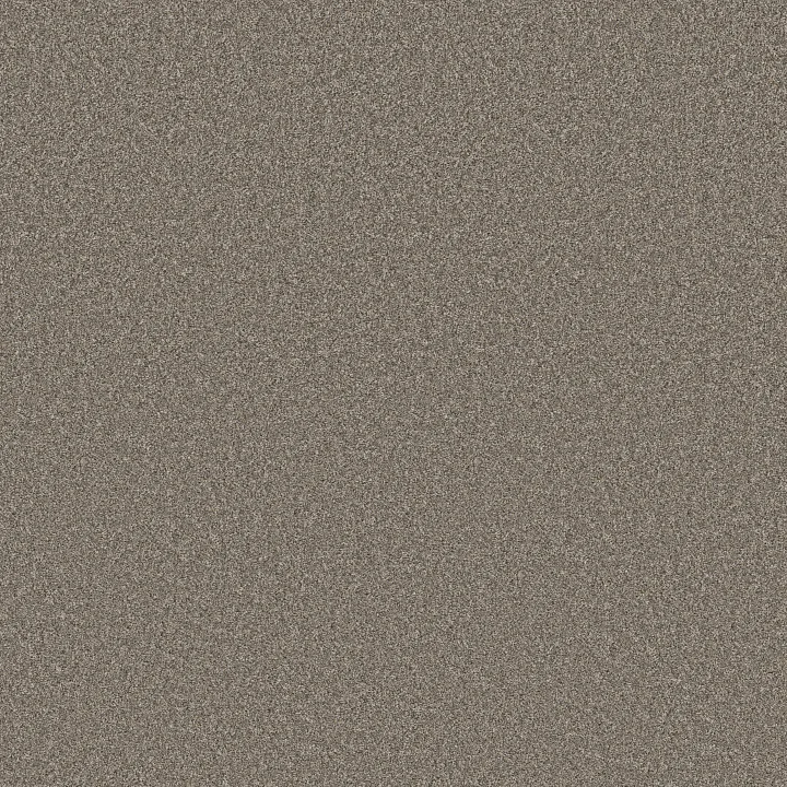 Shaw Floors Blended Touch II — Houndstooth · 5E886-00731 — flooring selection with LeviArs Design & Remodeling