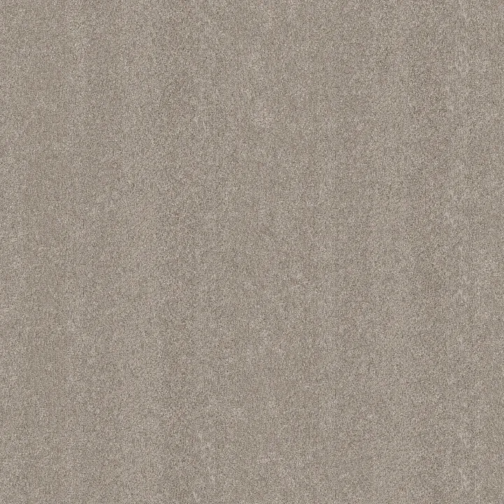 Shaw Floors Blended Touch II — Pebble Stone · 5E886-00730 — flooring selection with LeviArs Design & Remodeling