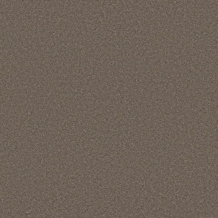 Shaw Floors Blended Touch II — Tweed · 5E886-00734 — flooring selection with LeviArs Design & Remodeling