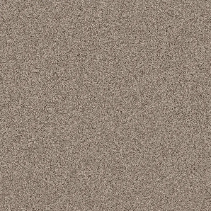 Shaw Floors Blended Touch II — Wool Blend · 5E886-00133 — flooring selection with LeviArs Design & Remodeling