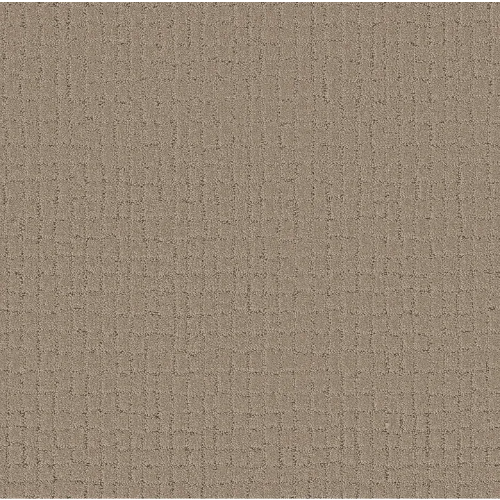 Shaw Floors Block Party — Cameo · 5E697-00113 — flooring selection with LeviArs Design & Remodeling
