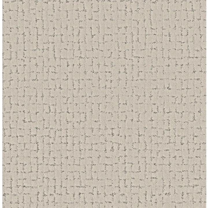 Shaw Floors Block Party — Marble · 5E697-00103 — flooring selection with LeviArs Design & Remodeling