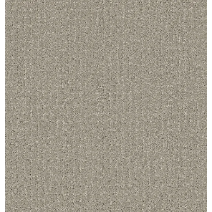 Shaw Floors Block Party — Sculpture · 5E697-00115 — flooring selection with LeviArs Design & Remodeling