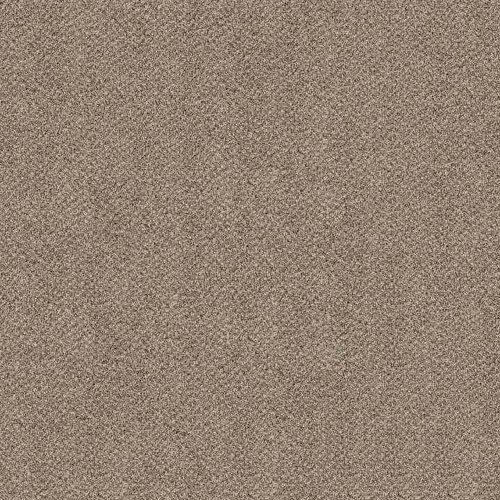 Shaw Floors Break Free — Cottage Cream · 5E879-00112 — flooring selection with LeviArs Design & Remodeling