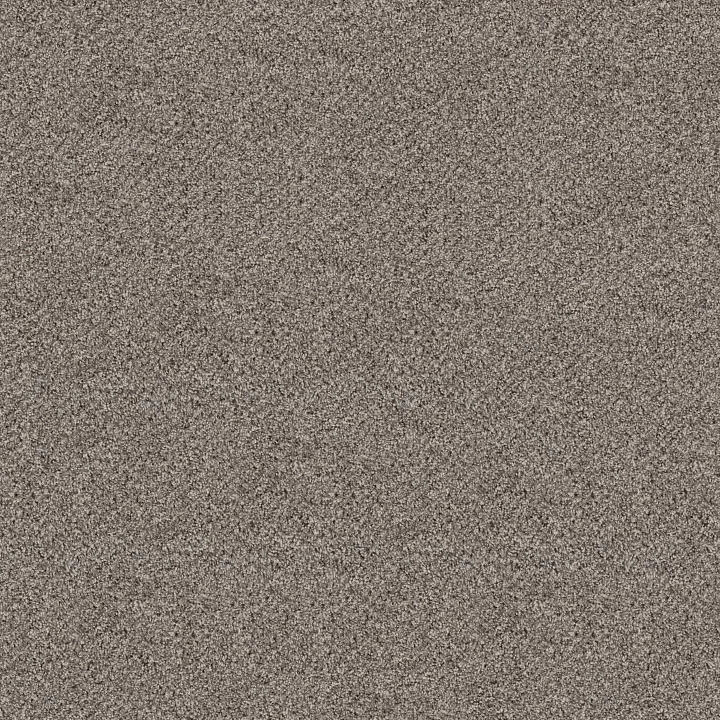 Shaw Floors Break Free — Dove Feather · 5E879-00140 — flooring selection with LeviArs Design & Remodeling