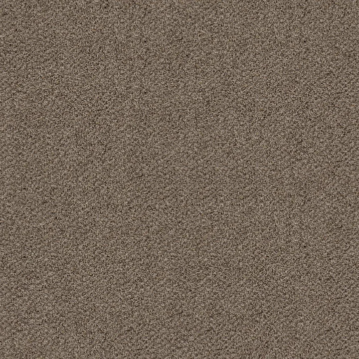 Shaw Floors Break Free — Incognito · 5E879-00531 — flooring selection with LeviArs Design & Remodeling