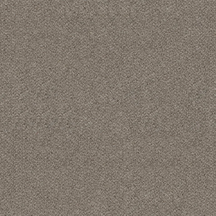 Shaw Floors Break Free — Lunar · 5E879-00510 — flooring selection with LeviArs Design & Remodeling