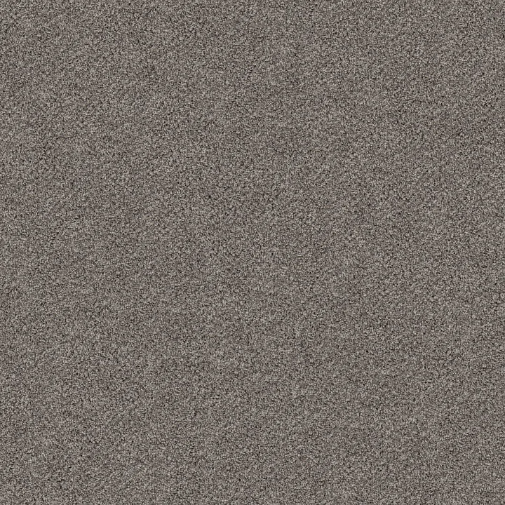 Shaw Floors Break Free — Oyster · 5E879-00546 — flooring selection with LeviArs Design & Remodeling