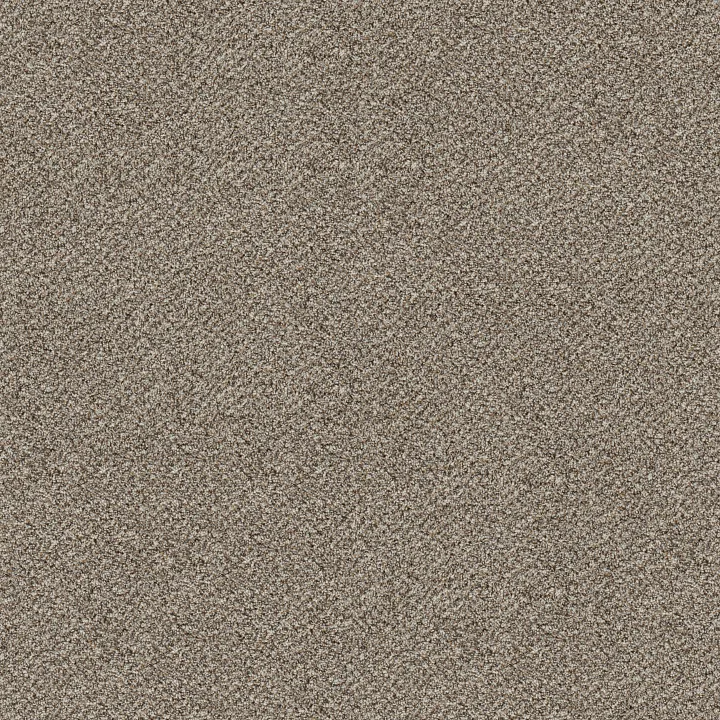 Shaw Floors Break Free — Snowdrift · 5E879-00130 — flooring selection with LeviArs Design & Remodeling