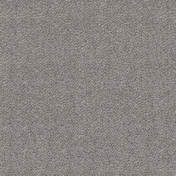 Shaw Floors Break Free — Soft Pewter · 5E879-00545 — flooring selection with LeviArs Design & Remodeling