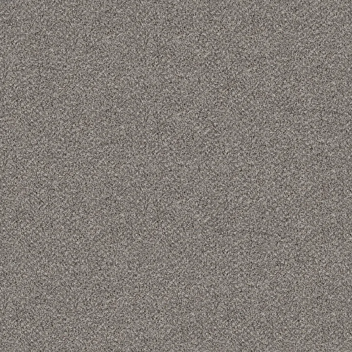Shaw Floors Break Free — Stonegate · 5E879-00141 — flooring selection with LeviArs Design & Remodeling