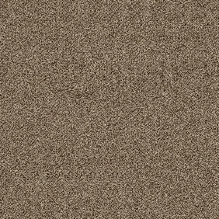 Shaw Floors Break Free — Studio · 5E879-00131 — flooring selection with LeviArs Design & Remodeling